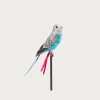 Budgie - Blue