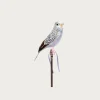 Budgie - Gray