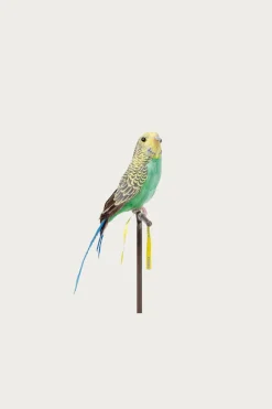 Budgie - Green