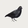 Crow 2 (Large)