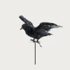 Flying Crow