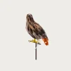 Small Hawk