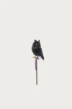 Small Owl - Black